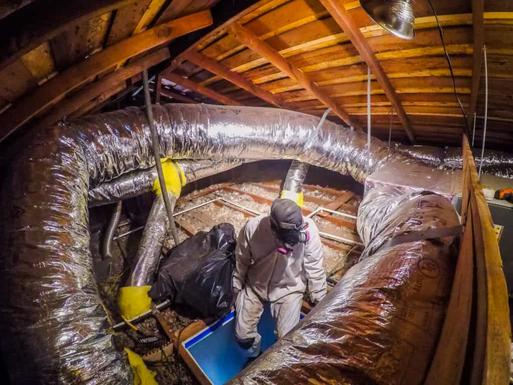 Set! Attic Insulation Removal Tech