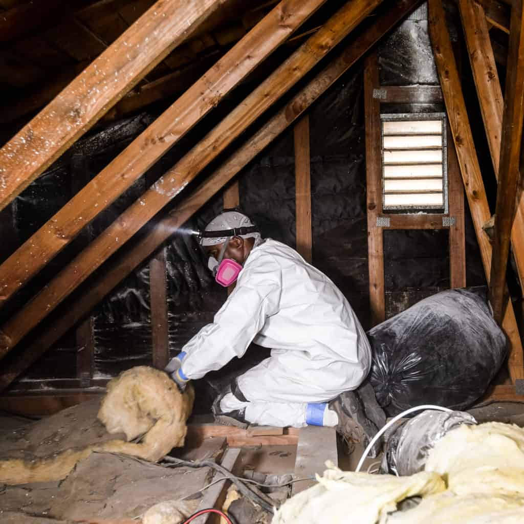 Attic Insulation Removal | Local Attic Cleaning and Insulation Removal ...