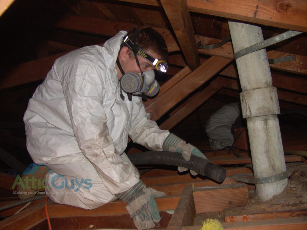 Attic Insulation Services Technician - Attic Guys